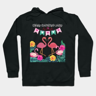 Crazy Flamingo Lady Sweatshirt Hoodie